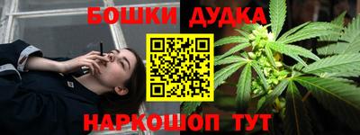 МДПВ Аша