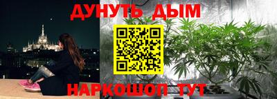 МДПВ Аша