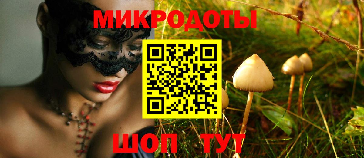 Псилоцибиновые грибы Psilocybine cubensis Волжский
